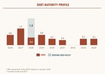 debt maturity profile feb2025