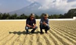 JDE Peet's Coffee Farmers