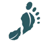 feet