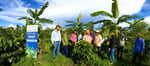 farming harmony nature pdp