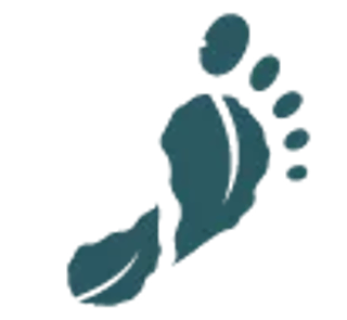 feet
