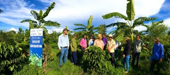 farming harmony nature pdp