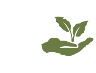 palm oil resized