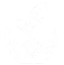 icon land rights